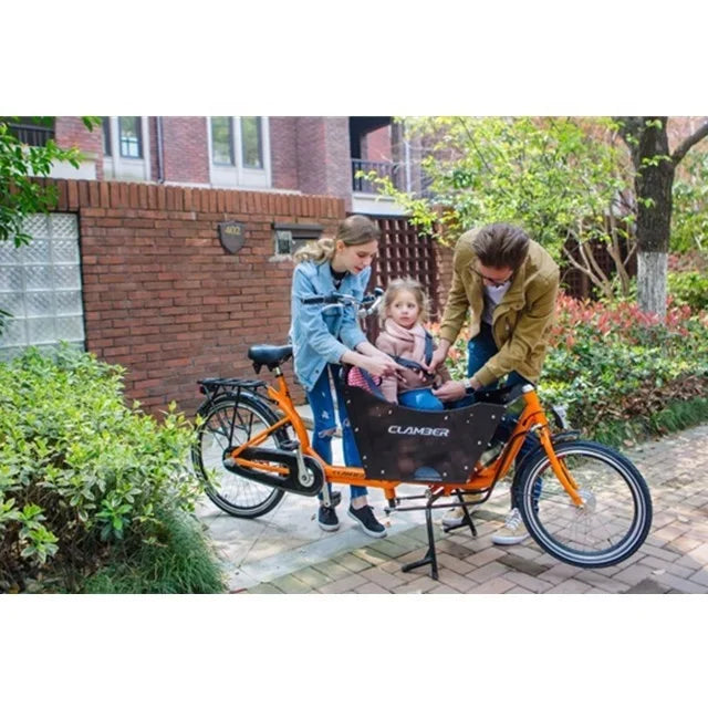 Hot sale electric cargo bike with cabin/cargo tricycle with CE certification for sale/2 wheel bakfiets Clamber UB9015E